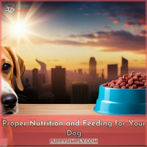 Proper Nutrition and Feeding for Your Dog