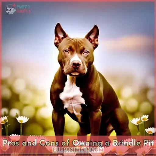 Pros and Cons of Owning a Brindle Pit
