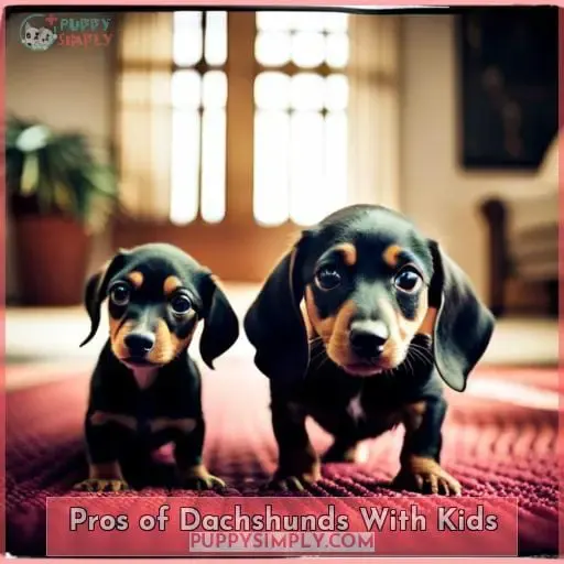 Pros of Dachshunds With Kids