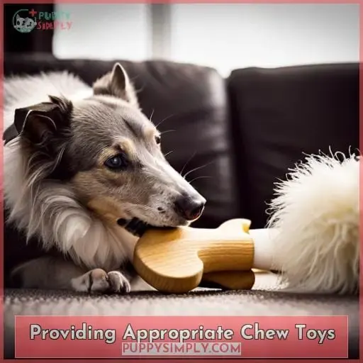 Providing Appropriate Chew Toys