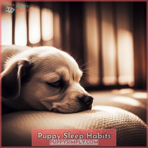 Puppy Sleep Habits
