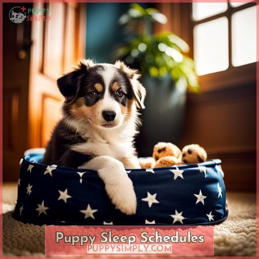 Puppy Sleep Schedules