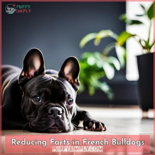 Reducing Farts in French Bulldogs