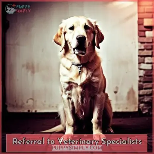 Referral to Veterinary Specialists
