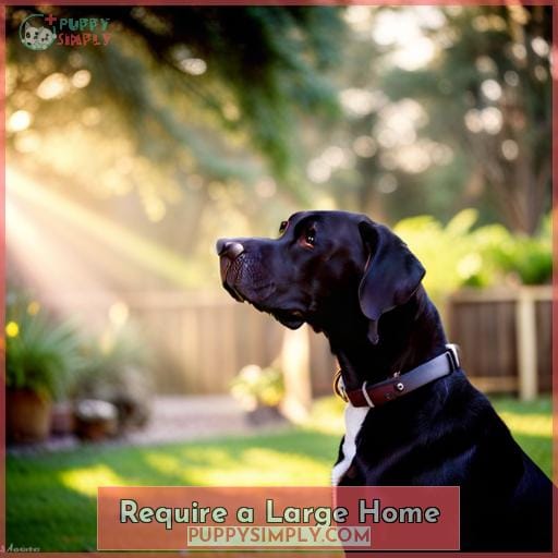 Require a Large Home