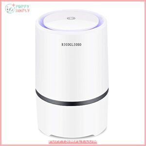 RIGOGLIOSO Air Purifier for Home B09MVKM32M