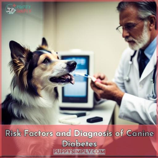 Risk Factors and Diagnosis of Canine Diabetes