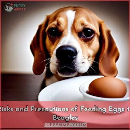 Risks and Precautions of Feeding Eggs to Beagles