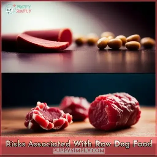 Risks Associated With Raw Dog Food