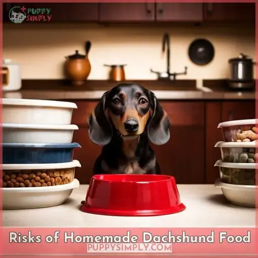 Risks of Homemade Dachshund Food