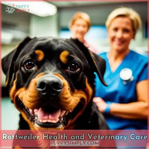 Rottweiler Health and Veterinary Care