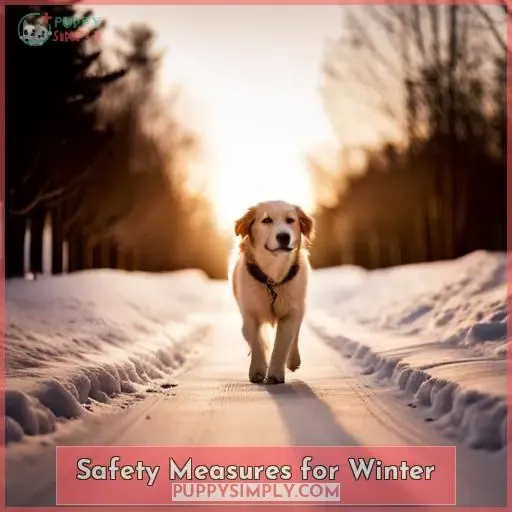 Safety Measures for Winter