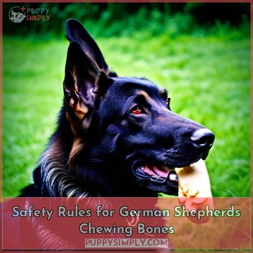 Safety Rules for German Shepherds Chewing Bones