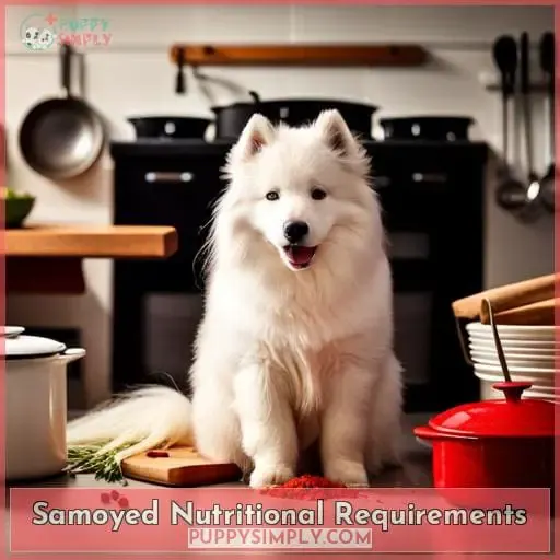 Samoyed Nutritional Requirements