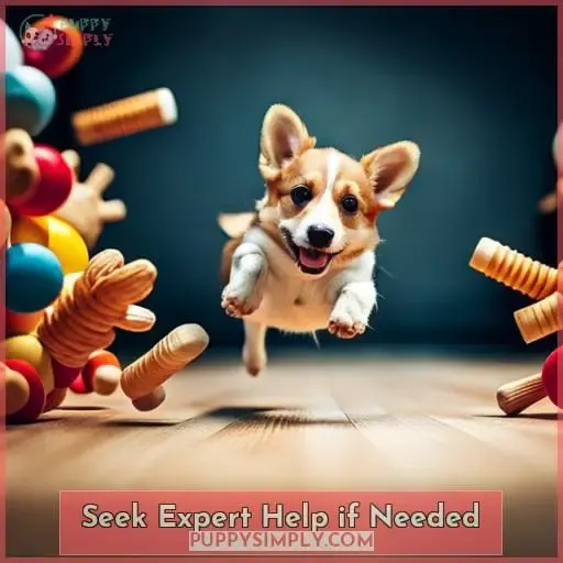 Seek Expert Help if Needed