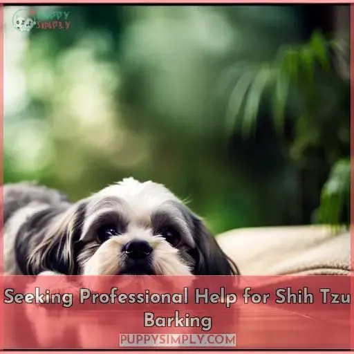Seeking Professional Help for Shih Tzu Barking