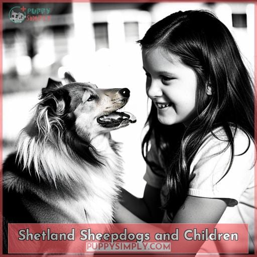 Shetland Sheepdogs and Children