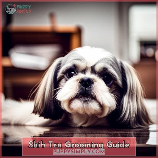 Shih Tzu Grooming Guide