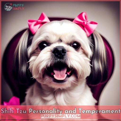 Shih Tzu Personality and Temperament