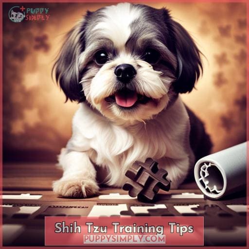 Shih Tzu Training Tips