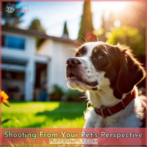 Shooting From Your Pet