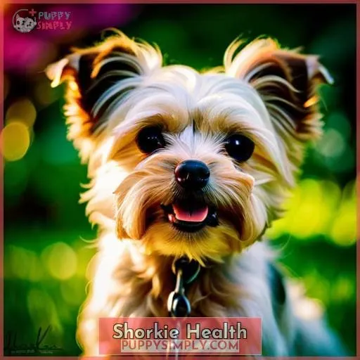 Shorkie Health