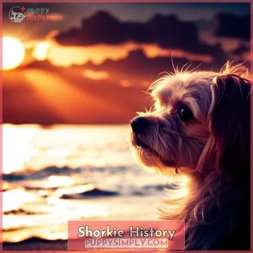 Shorkie History