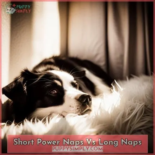 Short Power Naps Vs Long Naps