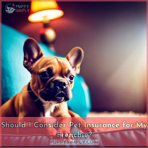 Should I Consider Pet Insurance for My Frenchie