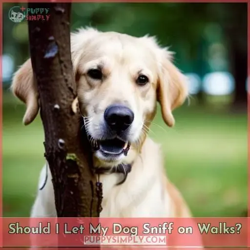Should I Let My Dog Sniff on Walks