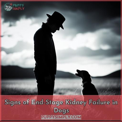 Signs of End-Stage Kidney Failure in Dogs