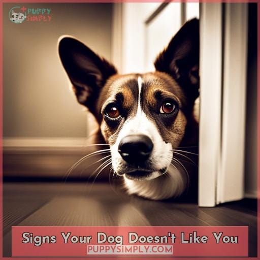 Signs Your Dog Doesn't Like You Signs Your Dog Doesn't Like You