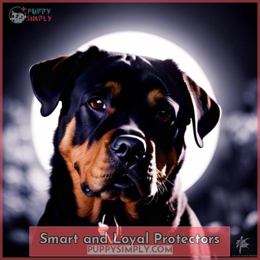 Smart and Loyal Protectors