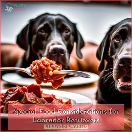Special Food Considerations for Labrador Retrievers