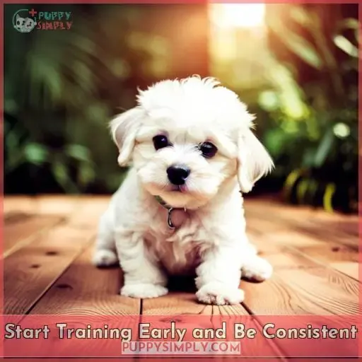 Start Training Early and Be Consistent
