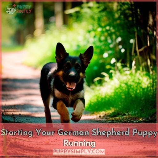 Starting Your German Shepherd Puppy Running