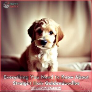 straight hair goldendoodle