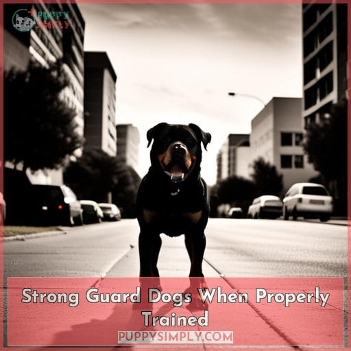 Strong Guard Dogs When Properly Trained