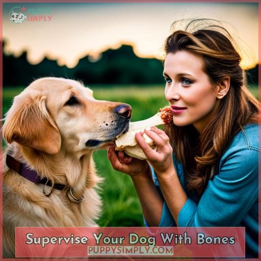 Supervise Your Dog With Bones