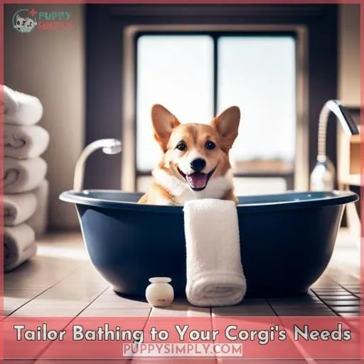 Tailor Bathing to Your Corgi