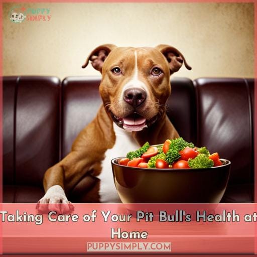 Taking Care of Your Pit Bull