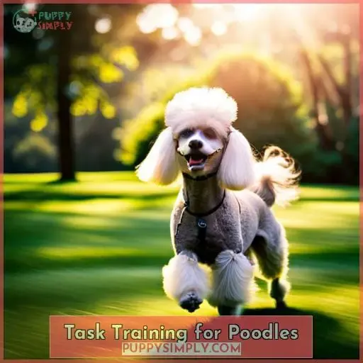 Task Training for Poodles