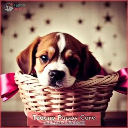 Teacup Puppy Care