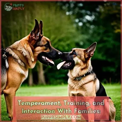 Temperament, Training, and Interaction With Families: