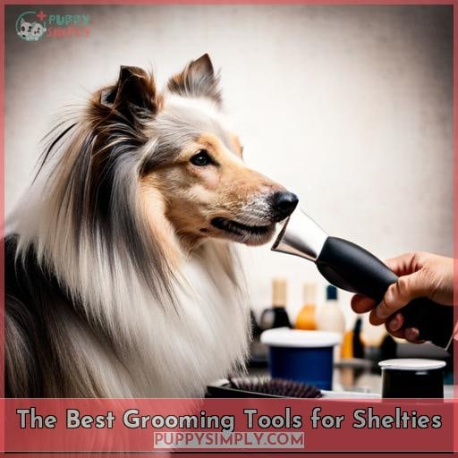 The Best Grooming Tools for Shelties