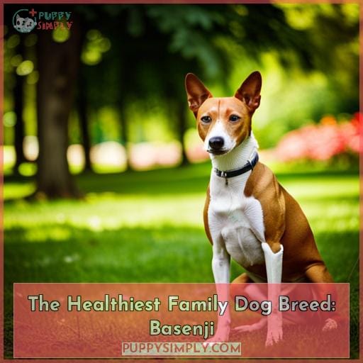 The Healthiest Family Dog Breed: Basenji