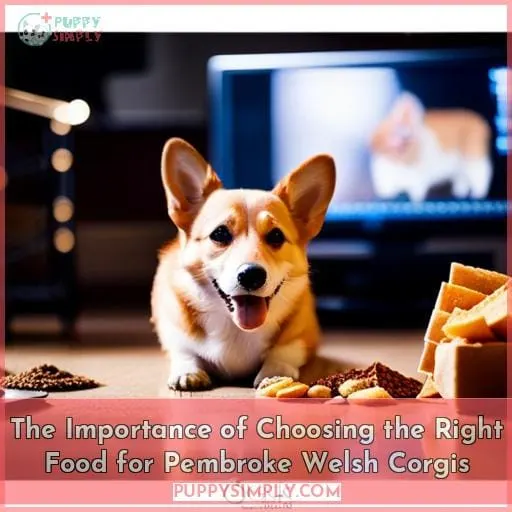 The Importance of Choosing the Right Food for Pembroke Welsh Corgis