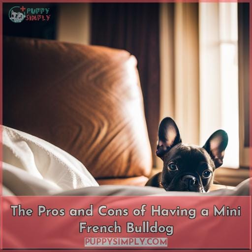 The Pros and Cons of Having a Mini French Bulldog