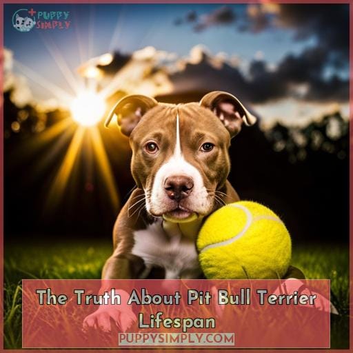 The Truth About Pit Bull Terrier Lifespan The Truth About Pit Bull Terrier Lifespan