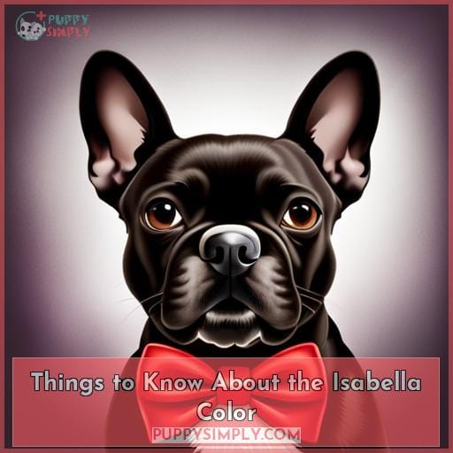Things to Know About the Isabella Color